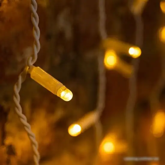 Новогодняя гирлянда Neon-Night Светодиодный Дождь 2х3 м 235-366 (теплый белый) – фото товара