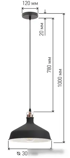 Подвесная люстра ЭРА PL2 BK/RC Б0037413 – фото товара