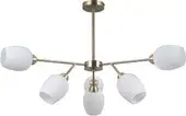 Подвесная люстра Moderli Cassy V10820-6C – изображение в каталоге