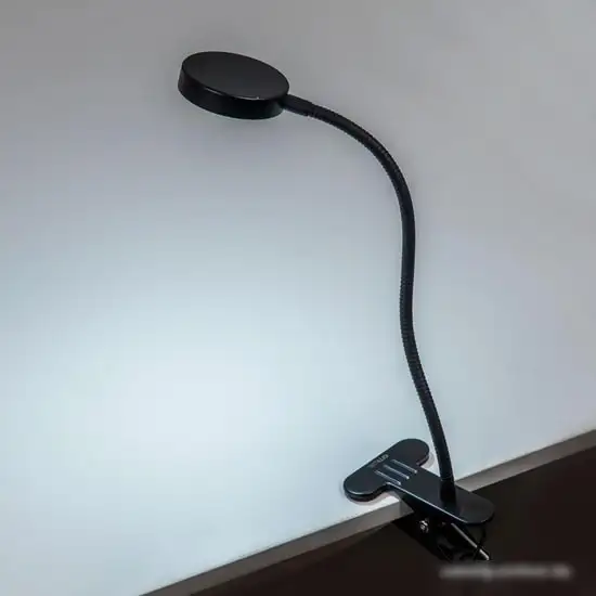 Настольная лампа Citilux Ньютон CL803071N – фото товара