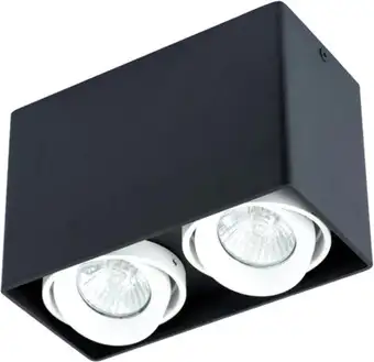 Точечный светильник Arte Lamp Pictor A5655PL-2BK – изображение в каталоге