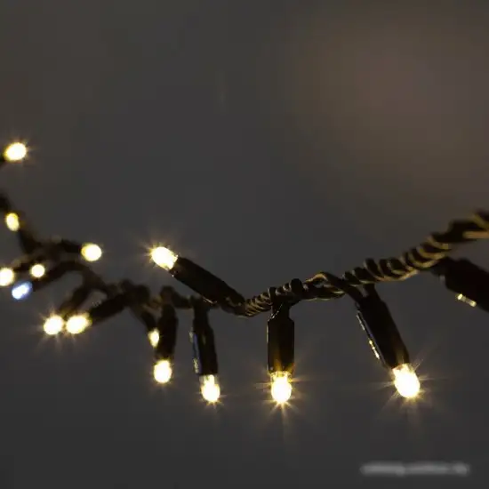 Гирлянда ЭРА ENIN-10M – фото товара