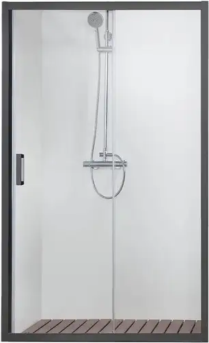 Душевая дверь Aquatek AQ ARI RA 10020BL 100x200 (черный/прозрачное стекло)