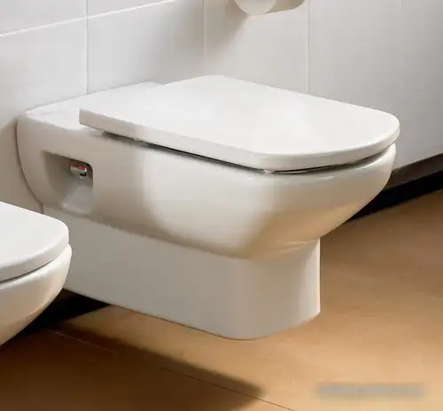 Унитаз Roca Dama Senso [346517000 + ZRU9000041] - фото товара