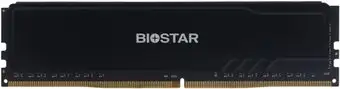 Оперативная память BIOSTAR Storming V 8ГБ DDR4 3200 МГц – изображение в каталоге