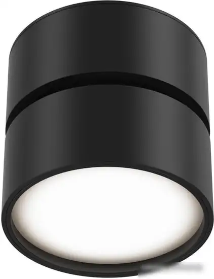 Спот Maytoni Onda C024CL-L12B4K – фото товара