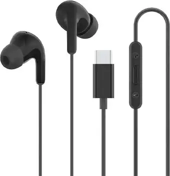 Наушники Xiaomi Type-C Earphones M2413E1 (черный, международная версия) – изображение в каталоге