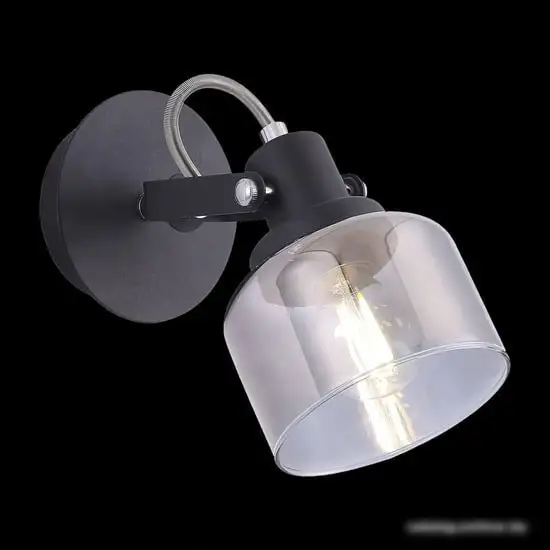 Спот Freya Evette FR5042CW-01B – фото товара