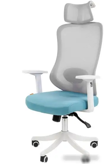 Кресло CHAIRMAN CH563 (ткань/сетка, белый/бирюзовый) – фото товара