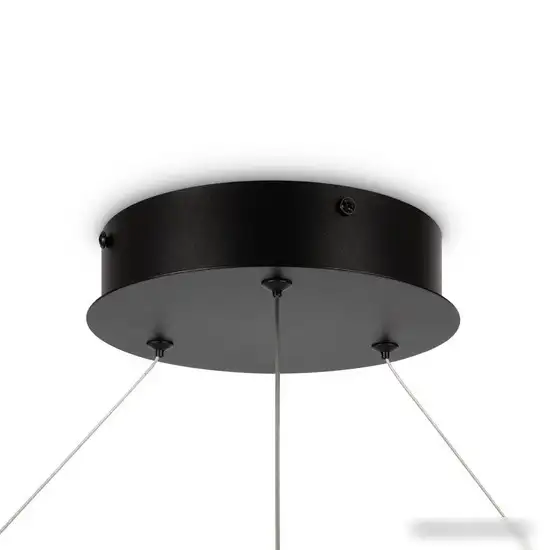 Подвесная люстра Maytoni Rim MOD058PL-L65BK – фото товара