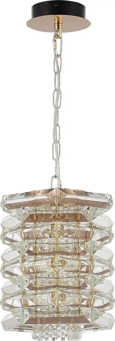 Подвесная люстра ST Luce SL6137.203.01 – фото товара