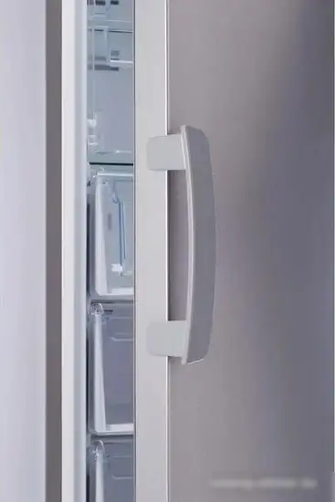 Морозильник Indesit DFZ 5175 G - фото товара