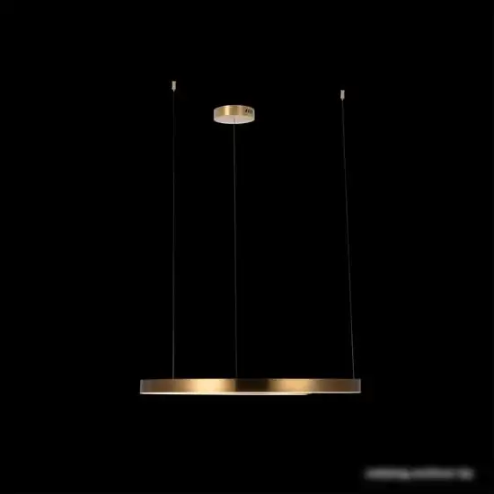 Подвесная люстра LOFT IT Ring 10013L – фото товара