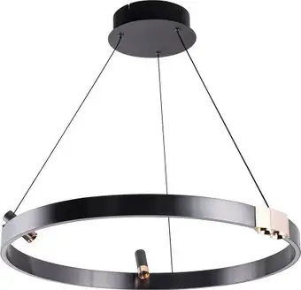 Подвесная люстра Arte Lamp Cesare A1993SP-30BK – изображение в каталоге