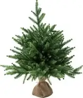 Ель National Tree Company Сиера СР-60 (60 см)