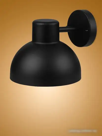 Уличный настенный светильник TDM Electric Бостон-1 SQ0330-0248