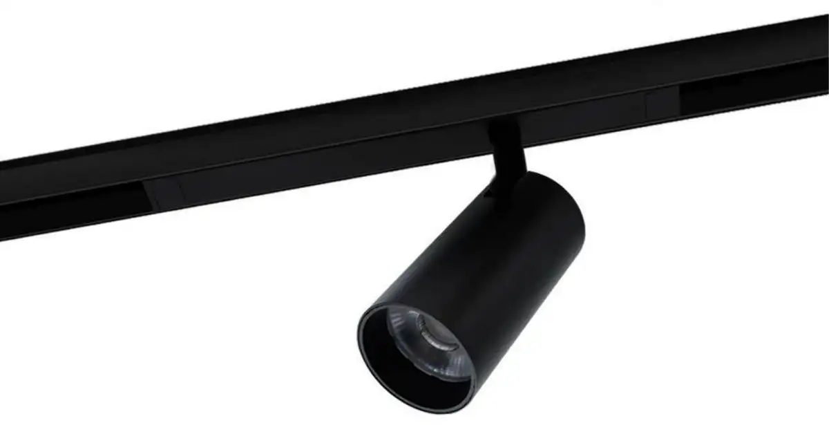 Трековый светильник Aployt Magnetic Track 220 APL.0205.00.20 – фото товара
