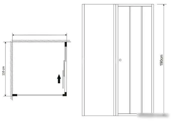 Душевая дверь Grossman Falcon GR-D110 110x190 - фото товара