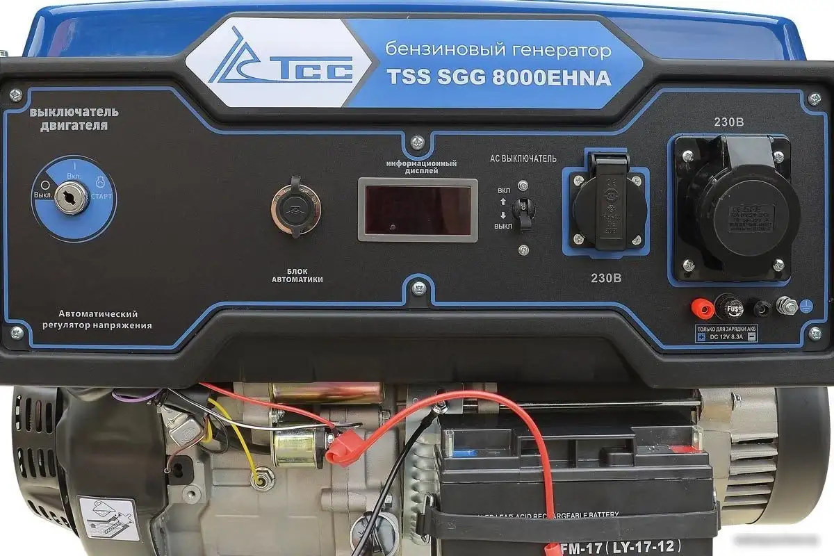 Бензиновый генератор ТСС SGG 8000EHNA – фото товара