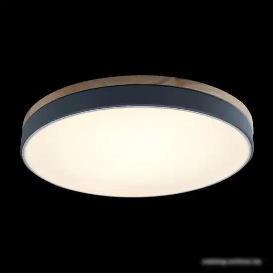 Люстра-тарелка LOFT IT Axel 10001/36 Grey – фото товара