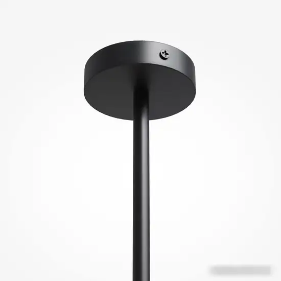 Подвесная люстра Maytoni Organic MOD225PL-06B – фото товара