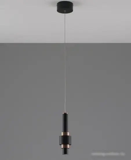 Подвесная люстра Moderli Elsa V10859-PL – фото товара