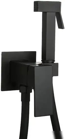 Гигиенический душ Roxen Caspia 50096000-B - фото товара