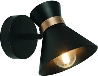 Точечный светильник Arte Lamp Baltimore A1406AP-1BK – изображение в каталоге