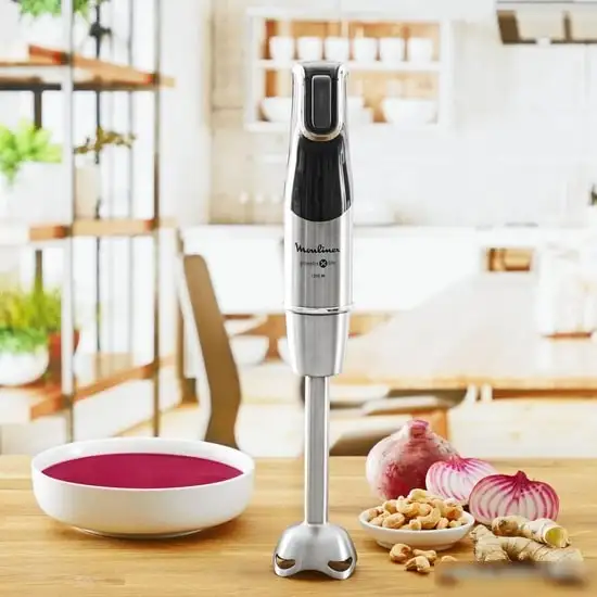 Погружной блендер Moulinex InfinyForce Pro DD95HD10 - фото товара