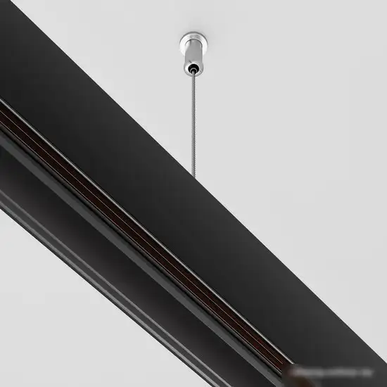 Подвес для треков Maytoni Technical Exility TRA034SW-2B – фото товара