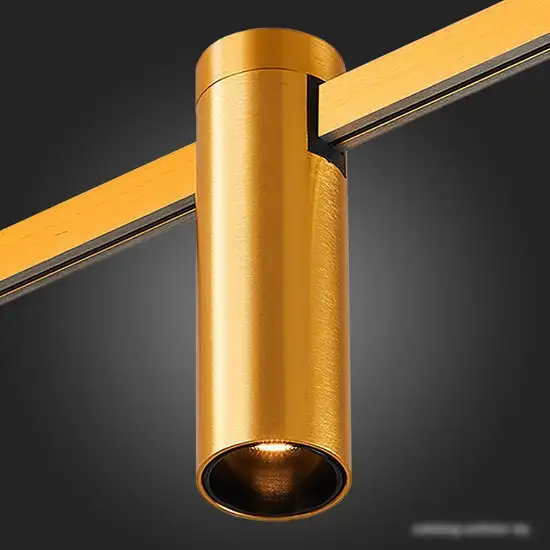 Трековый светильник ST Luce Farm ST810.206.05 – фото товара