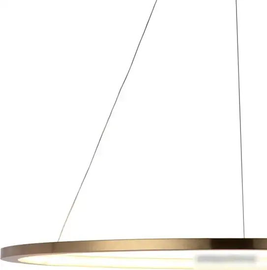 Подвесная люстра LOFT IT Ring 10014XL – фото товара