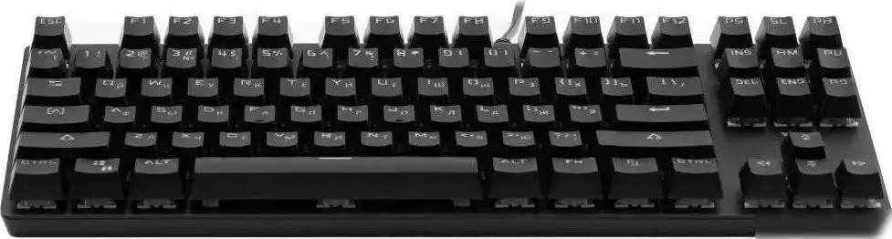 Клавиатура Rapoo V500Pro-87 (черный) – фото товара