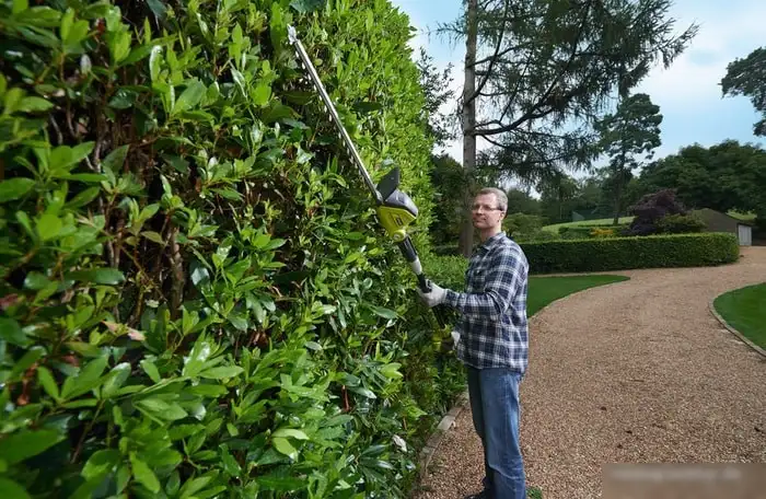 Высоторез Ryobi OPT1845 (без АКБ) – фото товара