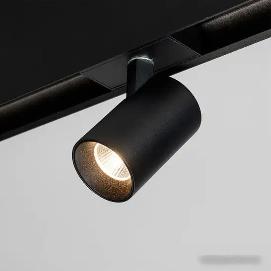 Трековый светильник Arlight MAG-SPOT-45-R85-7W Day4000 026967 – фото товара