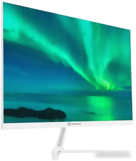 Монитор Raskat I24F10DAW – фото товара