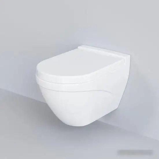 Унитаз Ambassador Nord 133T20001 (белый, с толстым сиденьем) - фото товара