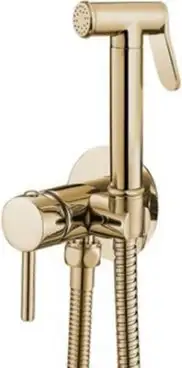Гигиенический душ Rea Loop REA-B8979 (золотой)