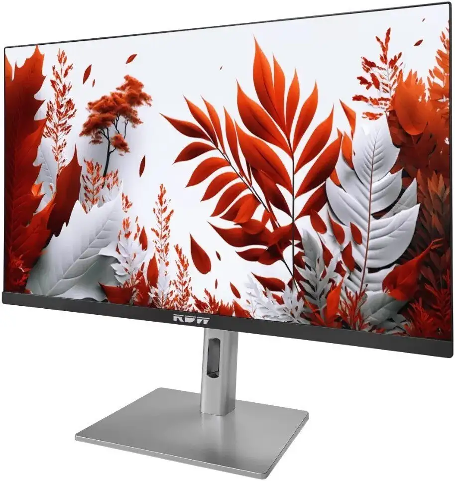 Монитор RDW Computers 2407K/F14В3120V2A1B – фото товара