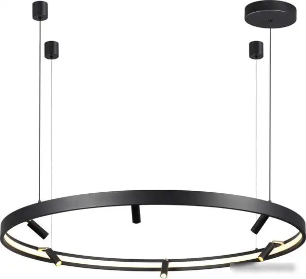 Подвесная люстра Odeon Light Fonda 4317/93L – фото товара