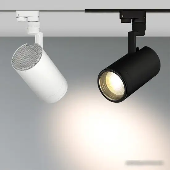 Трековый светильник Arlight LGD-ZEUS-2TR-R100-30W White6000 025951 – фото товара