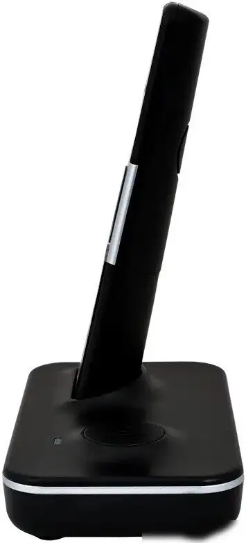 Радиотелефон Sanyo RA-SD1002RUS – фото товара