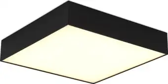 Припотолочная люстра ST Luce ST608.432.48 – изображение в каталоге