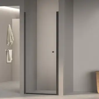 Душевая дверь RGW Dolphin TN-03B 54930309-14 90 (черный/прозрачное стекло) - изображение в каталоге