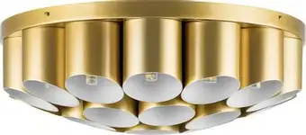 Припотолочная люстра Lightstar Siena 720222 – изображение в каталоге