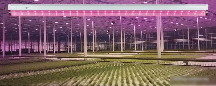 Лампа Feron Светильник для растений AL7001 [28927] – фото товара