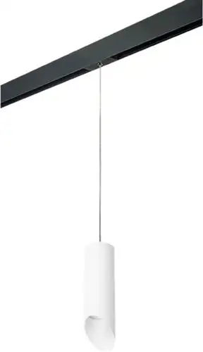 Трековый светильник Lightstar Rullo PRORP48636 – изображение в каталоге