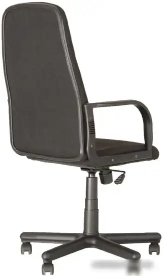 Кресло Nowy Styl Diplomat C-11 (черный) – фото товара