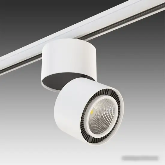 Трековый светильник Lightstar Forte Muro A3T213830 – фото товара