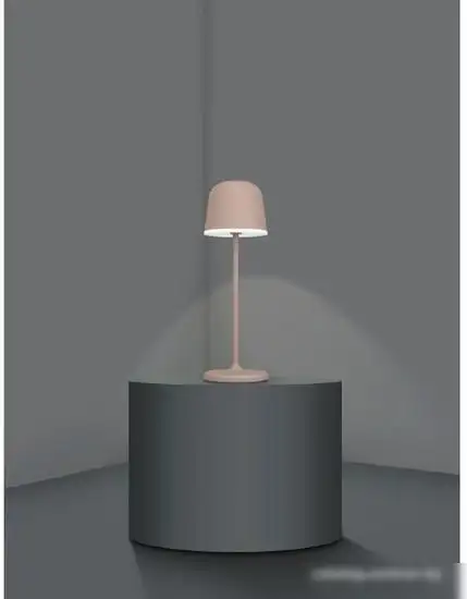 Садовый светильник Eglo Mannera 900459